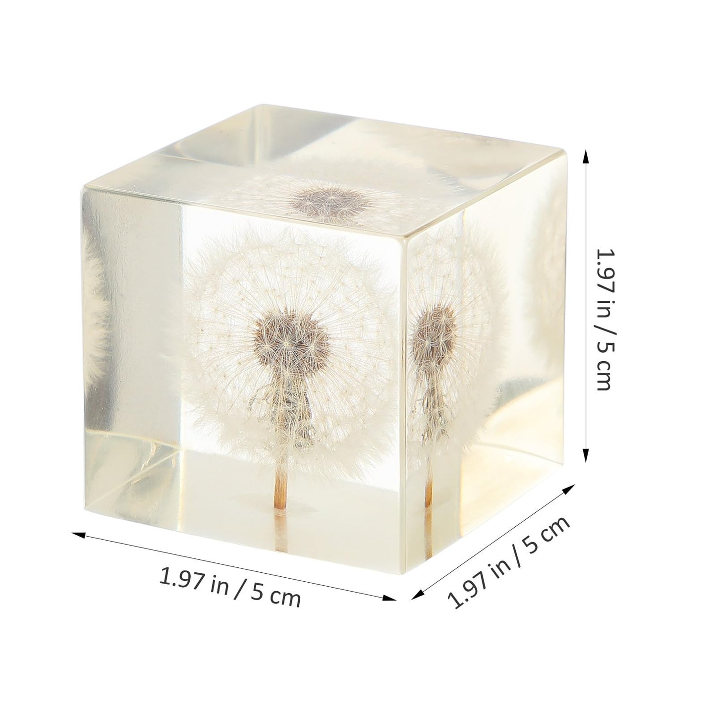 Real Dandelion Specimen in Crystal Clear Resin Cube, 2 Inch 3D Preserved Dandelion Puff Paperweight with Wooden Box, Natural Plant Decor for Home Office Gift