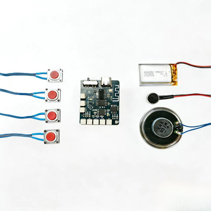 Sound Module,16MB recordable Button,DIY Music Voice Module with Speaker for DIY Birthday Music Box Greeting Card Present