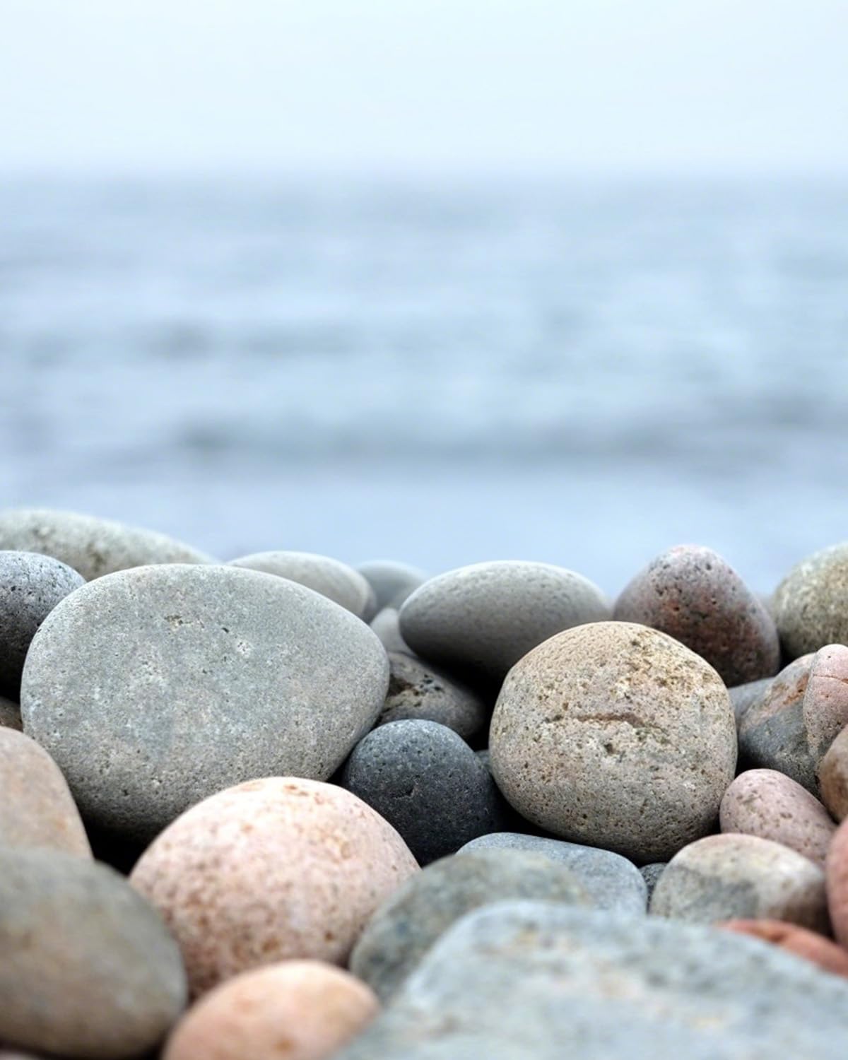 FAHAXIKI Natural River Rocks-5 lbs of Pebbles and River Stones,2-3 Inch Plant Rocks for Landscaping,Garden Paving,Crafting,Walkways,and Outdoor Decorative Stone,Mexican Beach River Rocks