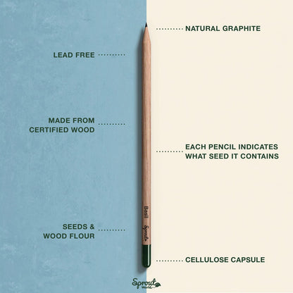 SproutWorld Plantable Pencils | Xmas Edition | Wood-Cased | Pre-Sharpened | HB Wooden Pencils with Assortment of Winter-Themed Seeds | Christmas Gift, Xmas Stocking Filler | 8 Pack