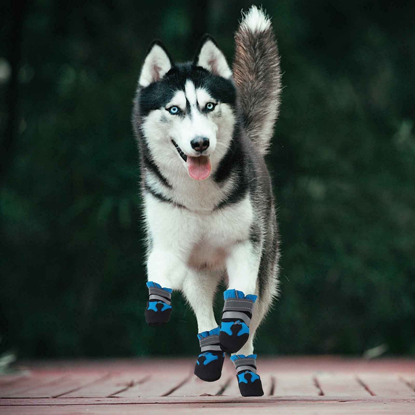 Dog Boots, Set of 4 Waterproof Dog Shoes with Reflective Straps Anti-Slip Sole Outdoor Paw Protectors Puppy Shoes for Small Medium Dogs Autumn Winter (Blue, XL)