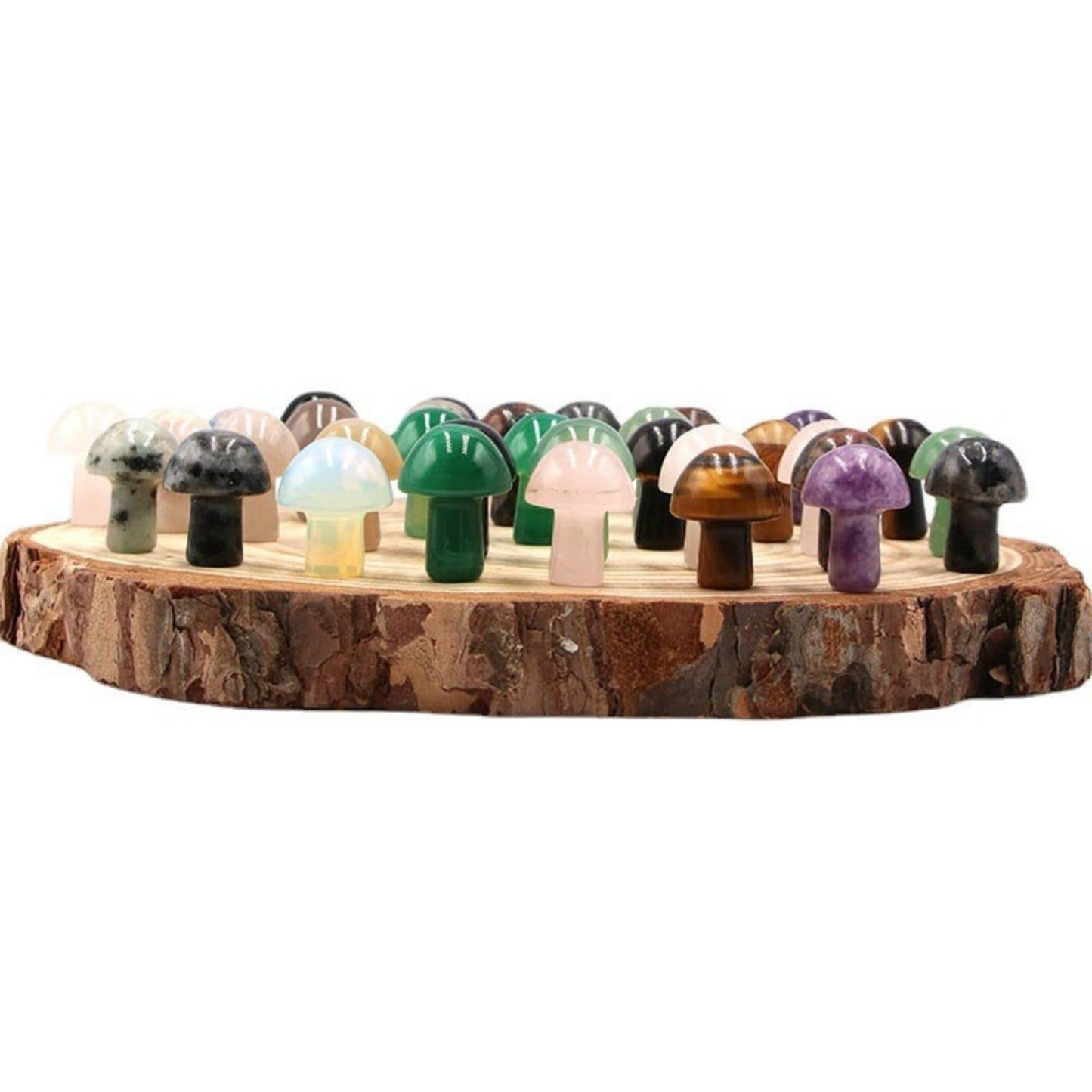 2TTFishoo 15PCS Indian Agate Natural Stones Mushroom Sculpture Decor Crystal for Home Crafts Flower Pot Gemstone Mini Mushroom Hand Making Yard Decoration