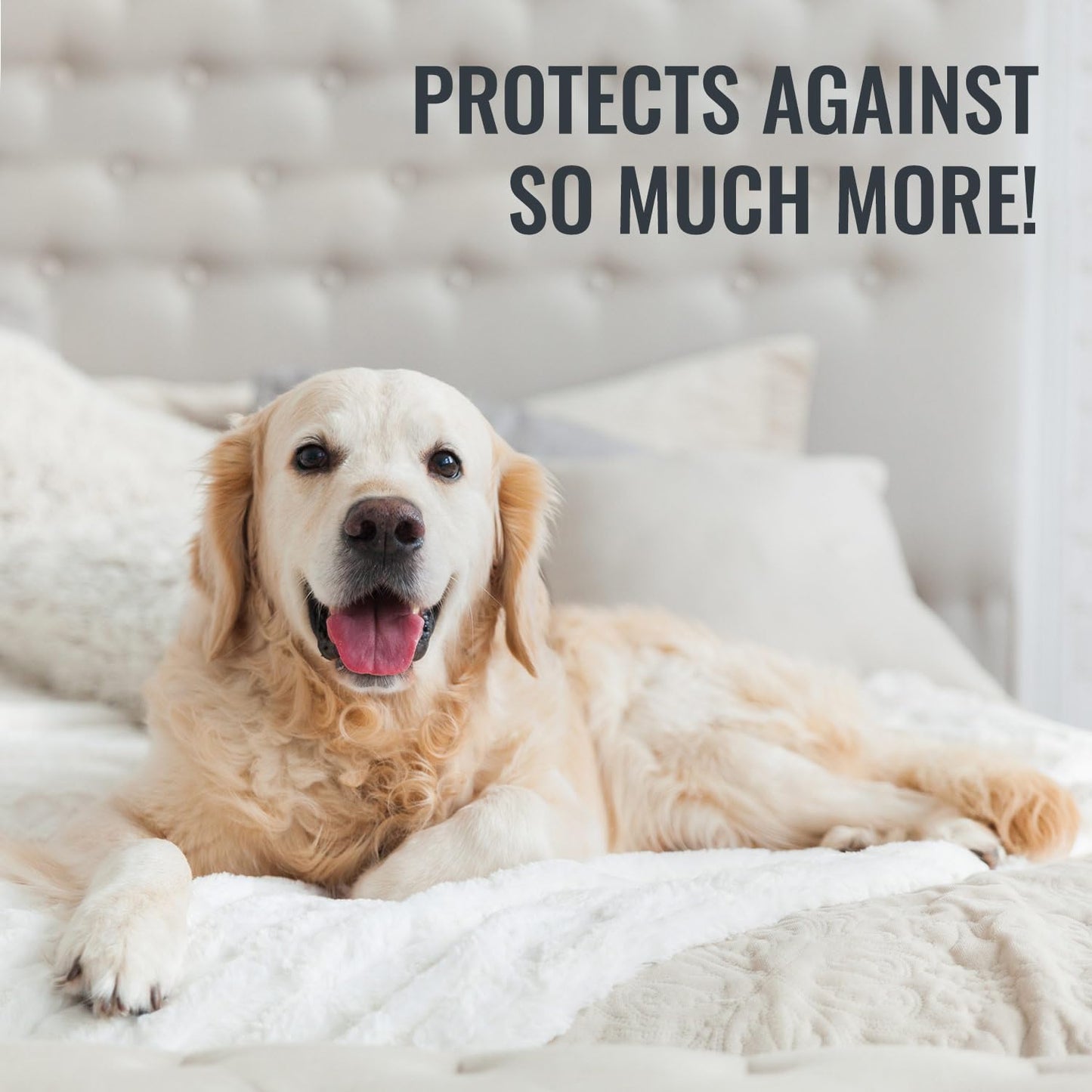 DMI Waterproof Mattress Protector, Mattress Pad/Cover, Bed Pad and Cover, Contoured Fitted Sheet, Queen (Packaging May Vary)
