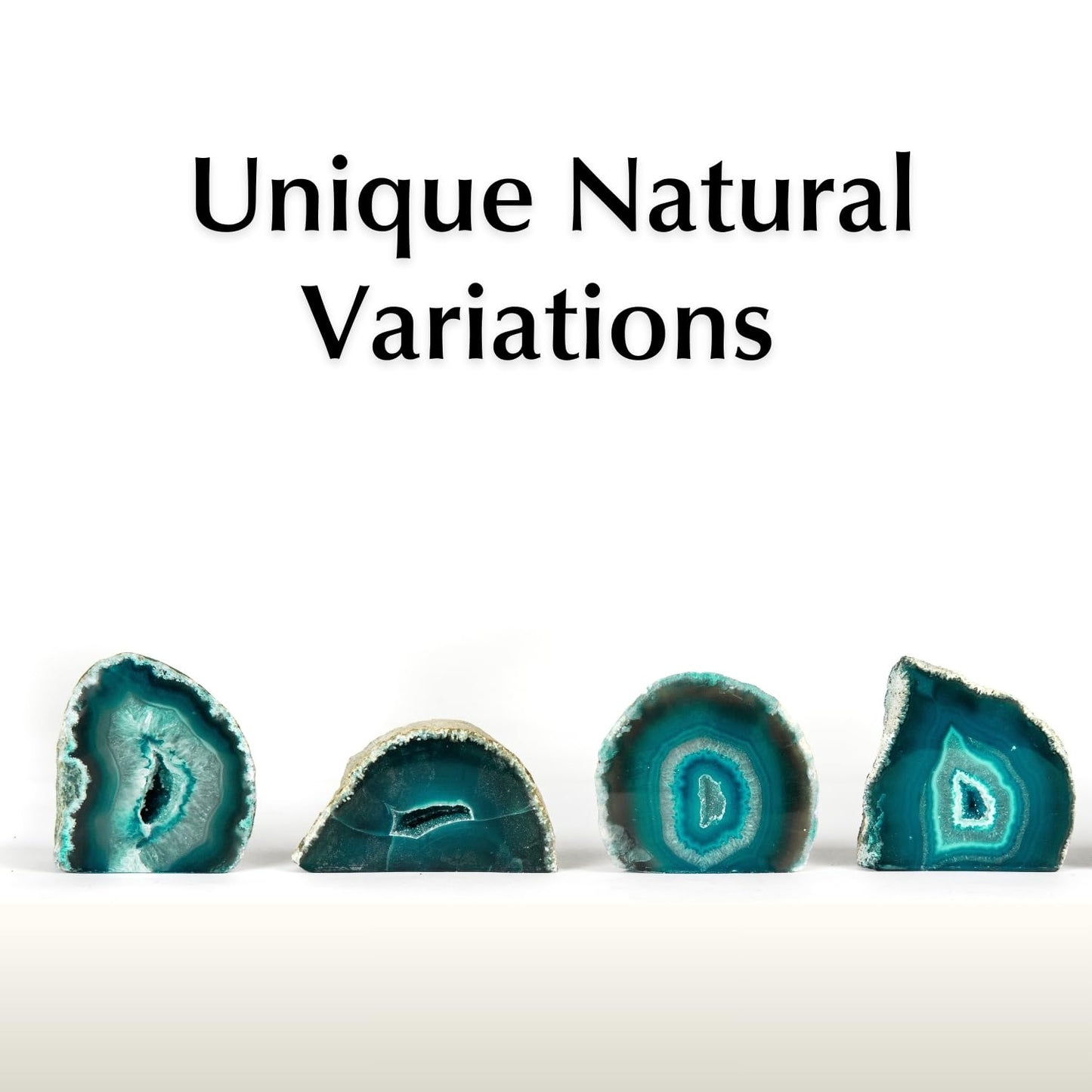 Fossil Gift Shop 2-3" Agate Geode (Green/Teal)