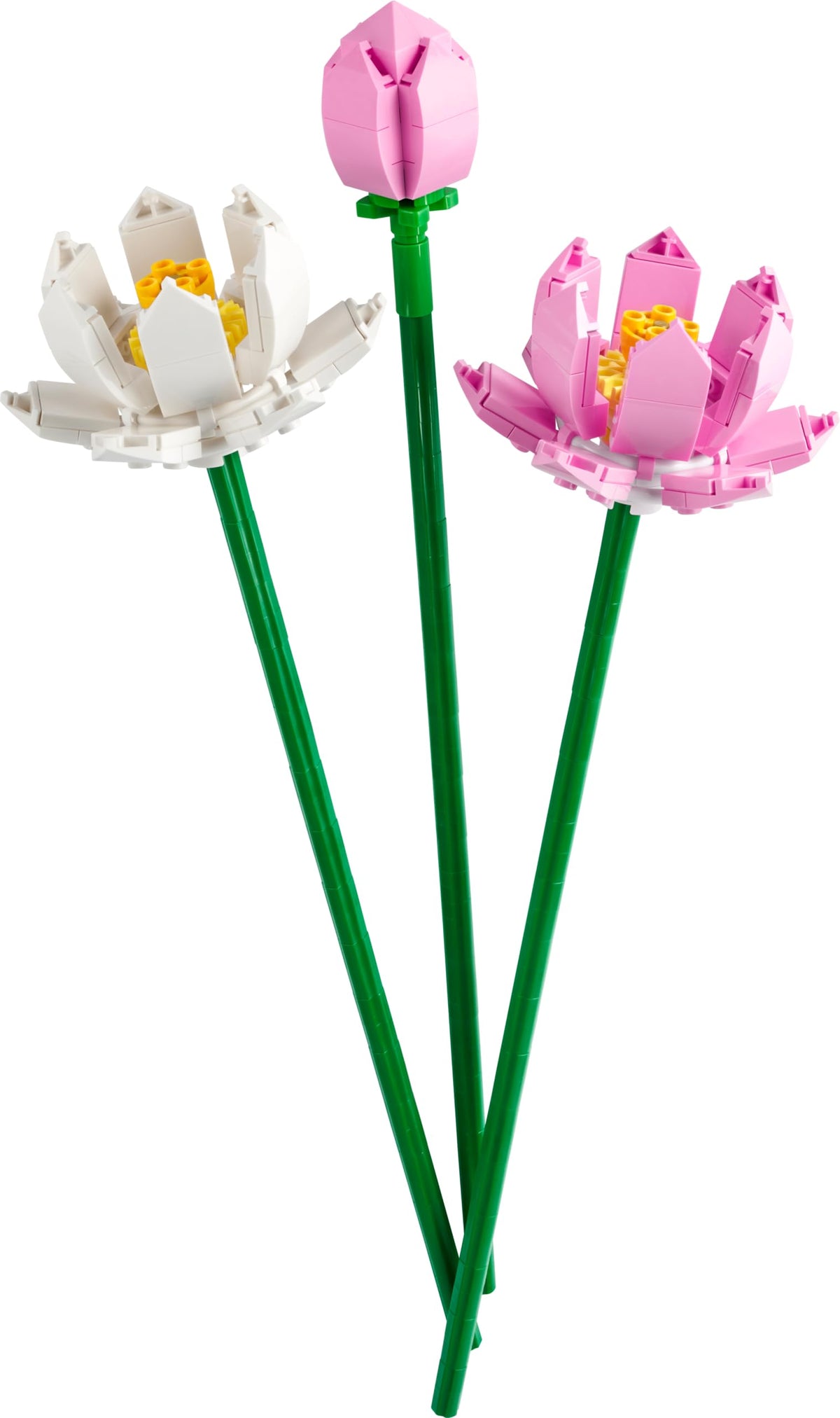 LEGO Lotus Flower - Building Toy for Kids, Girls & Boys, Ages 8+ - Artificial Lotus Flowers for Home Decor & Display - Creative Gift Idea for Her & Him - 40647