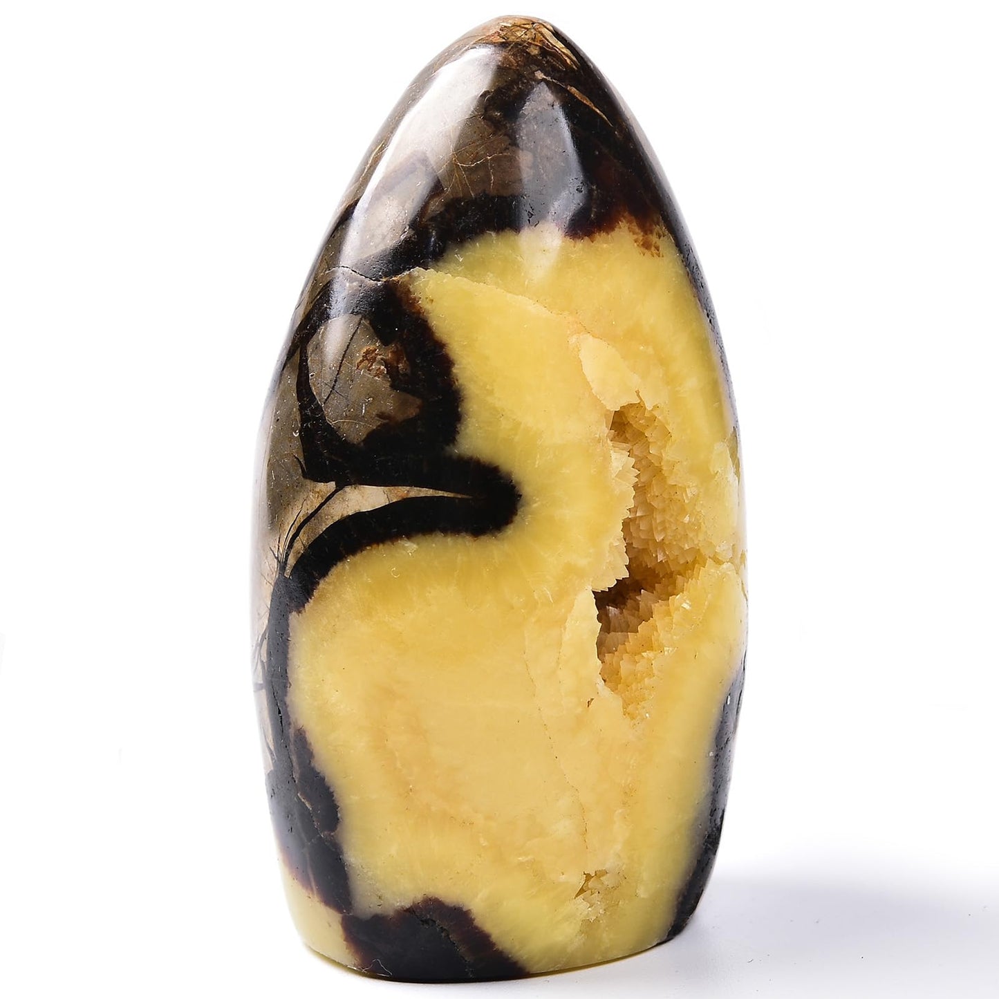 MOGEMT Septarian Geodes Large Healing Crystal Stones Rock Cluster Septarium Druzy Irregular Home Decoration Specimen 1.5-2 Lbs