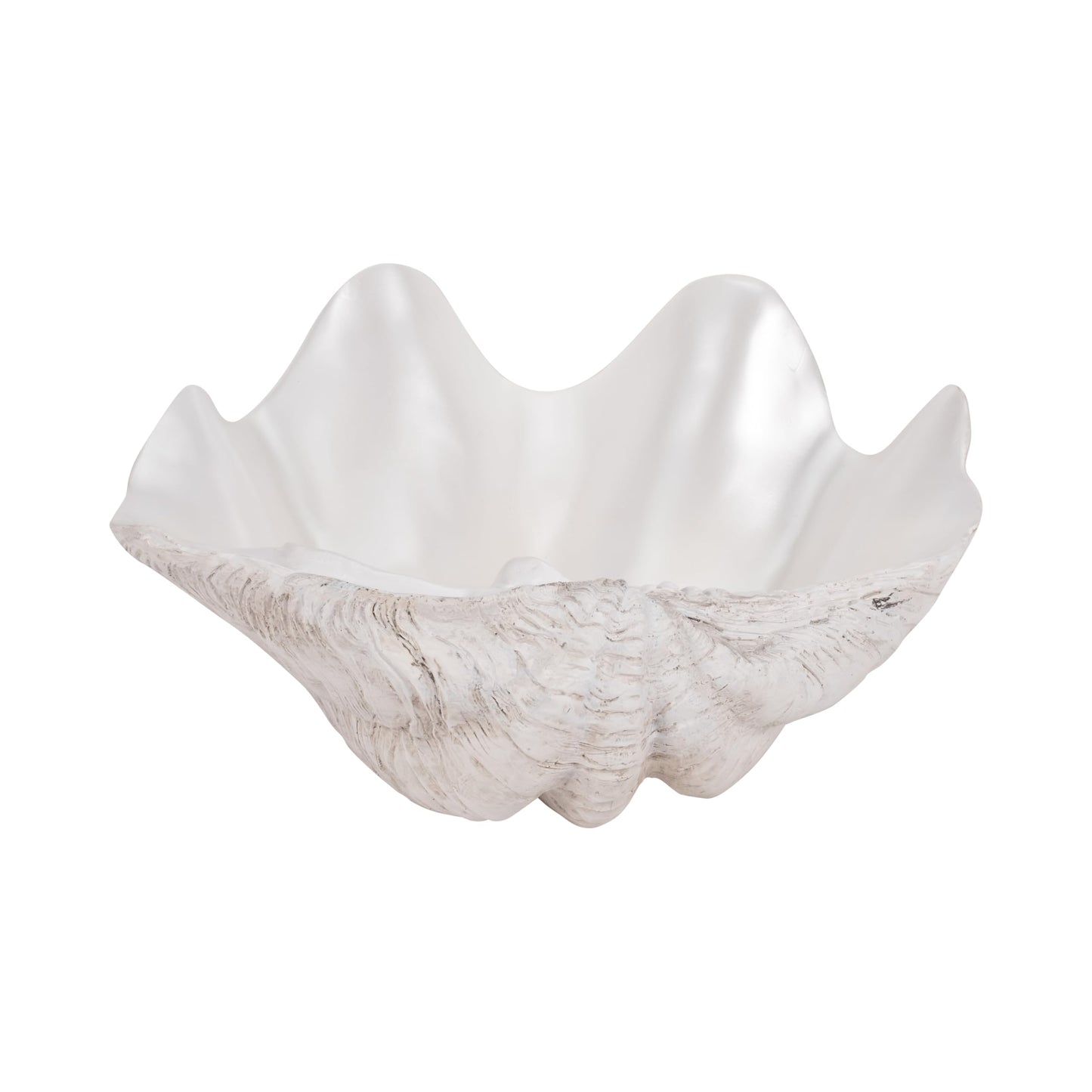 Textured Shell Decorative Bowl for Coffee Centerpiece Table Accent - Wavy Edge Design for Home, Kitchen Counter, or Catchall Dish - Coastal Basin for Key and Candy Bowl - 5", Ivory & Tan