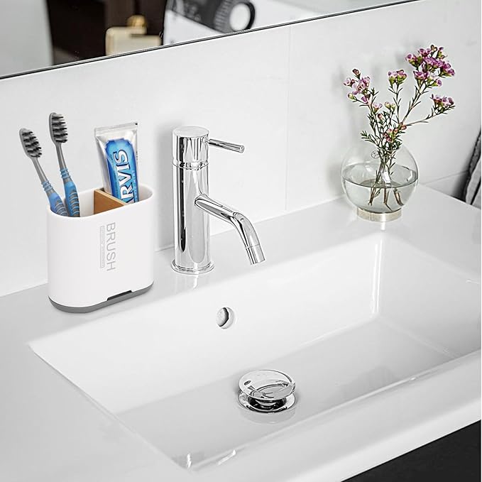 Toothbrush and Toothpaste Holder