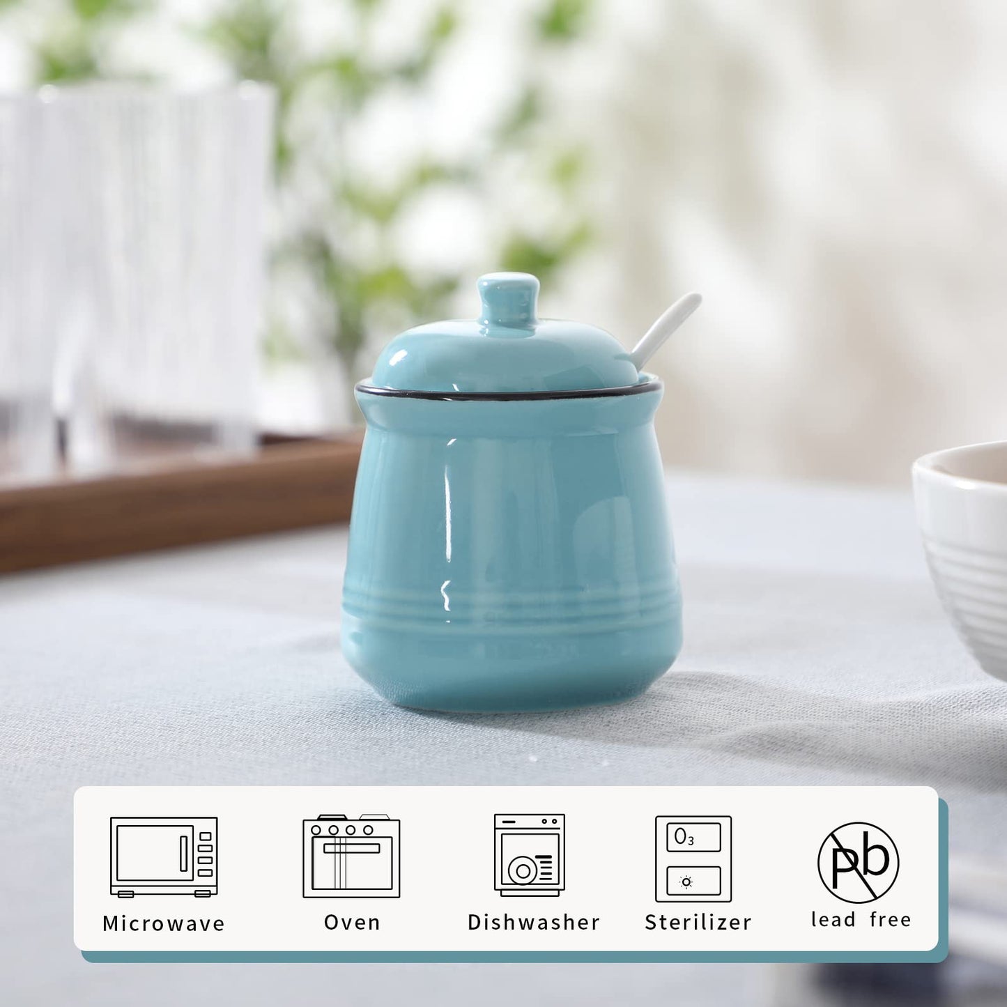 HAOTOP Porcelain Salt Bowl with Lid and Spoon,Ceramic Sugar Bowl 12oz (Turquoise)