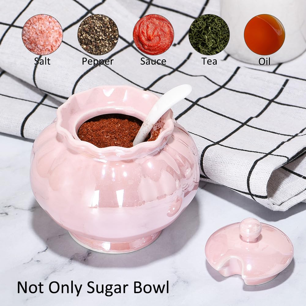 Ursword Iridescent Sugar Bowl, Porcelain Salt Cellar with Lid and Spoon, 9oz Sugar Jar for Coffee Bar, Salt Box Sugar Containers for Seasoning, Spice, Sauce, Elegant Decor for Kitchen Countertop