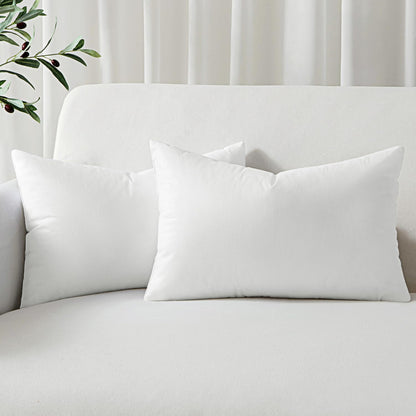 MIULEE Set of 4 Throw Pillow Inserts 20x20 Inches, 100% Virgin Filling Nowoven Pillow Inserts for Couch Sofa Living Room