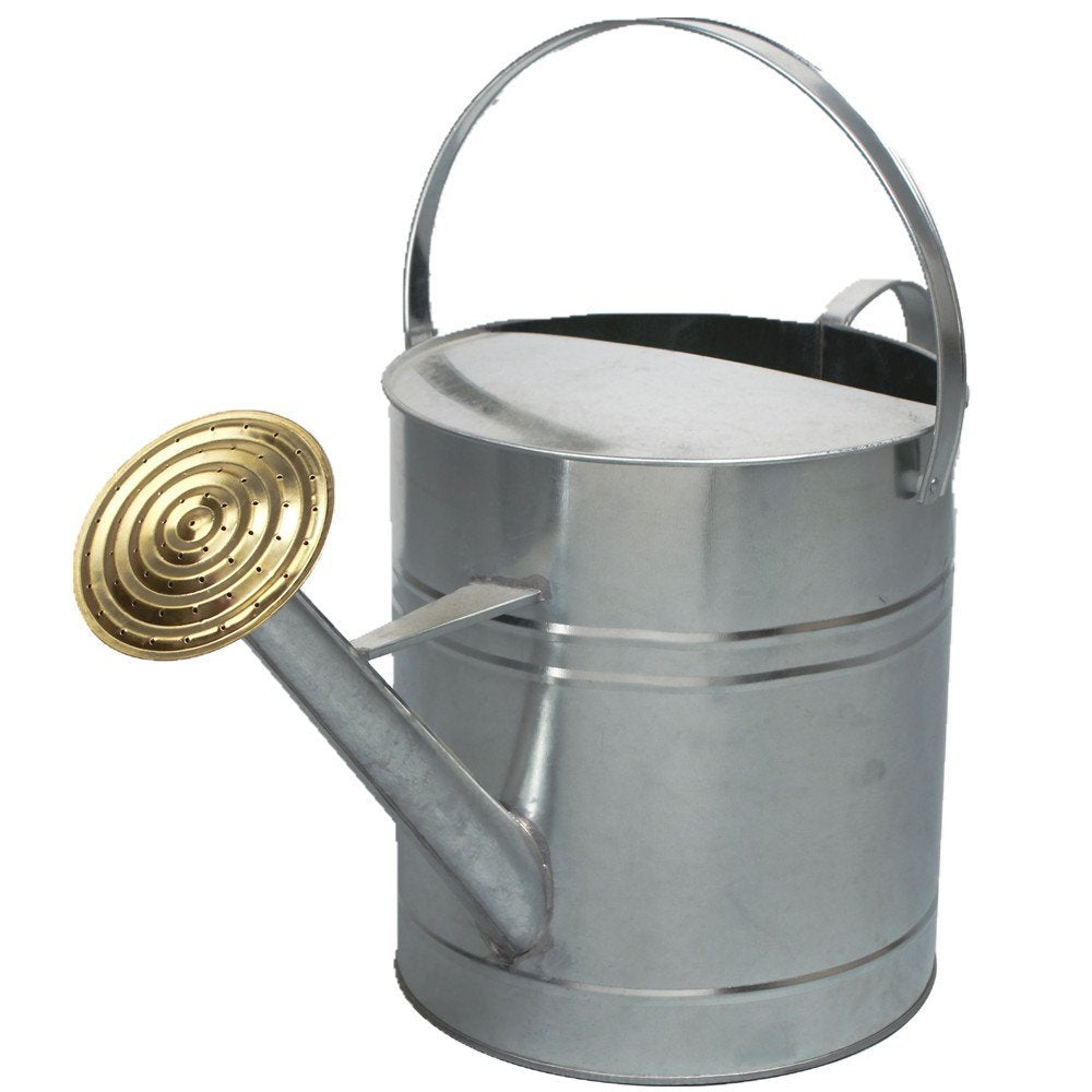 CrazyGadget® Garden Plant Flower Colour Galvanised Metal Steel Watering Can 9L 9 Litre / 2 Gallon with Brass Rose (Galvanised)