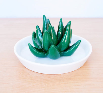 PUDDING CABIN Succulent Ring Holder Dish Cactus Gift for Women Birthday Gift for Mom Friend Bridesmaid Wedding Christmas Valentines Housewarming Gift, Decorative Cacti Decor for Home Gifts