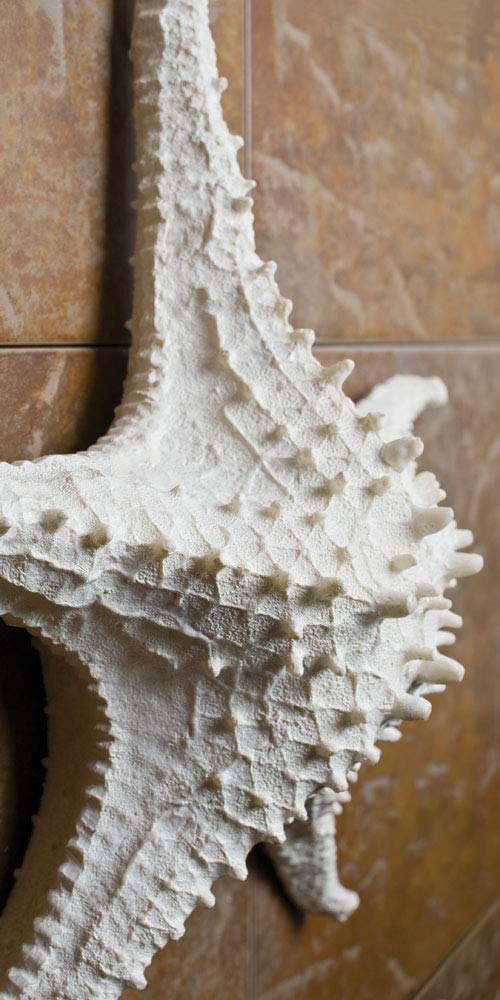 Abbott Collection 20-SEASHORE/25 Large White 3D Starfish Decorative Resin Figurine