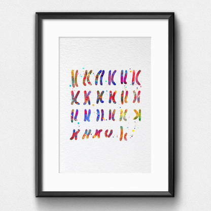 Dignovel Studios 8X10 Unframed Male Chromosome Illustration Diagram Watercolor Art Print Poster Medical Education Science Genetic Wall Hanging Decor DN914