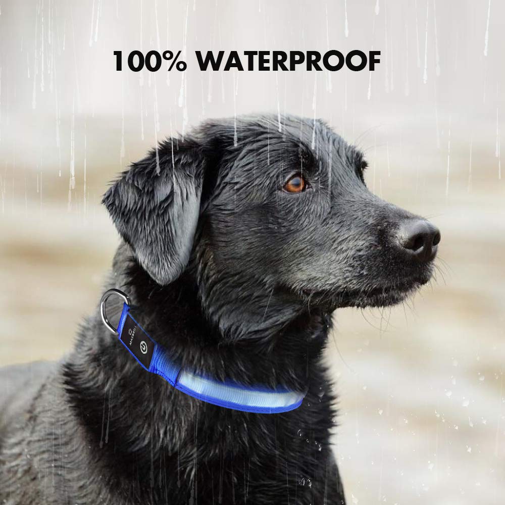 MASBRILL Light Up Dog Collar, LED Dog Collar Lights for the Dark, Rechargeable and Waterproof Flashing Dog Collars with 3 Glowing Modes, Adjustable Pet Collar for Small/Medium/Large Dog(Blue M)