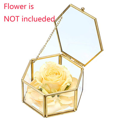 Hipiwe Preserved Flower Glass Box, Hexagon Glass Jewelry Decorative Bin, Ornate Trinket Display Organizer Case Keepsake Box Gift for Women