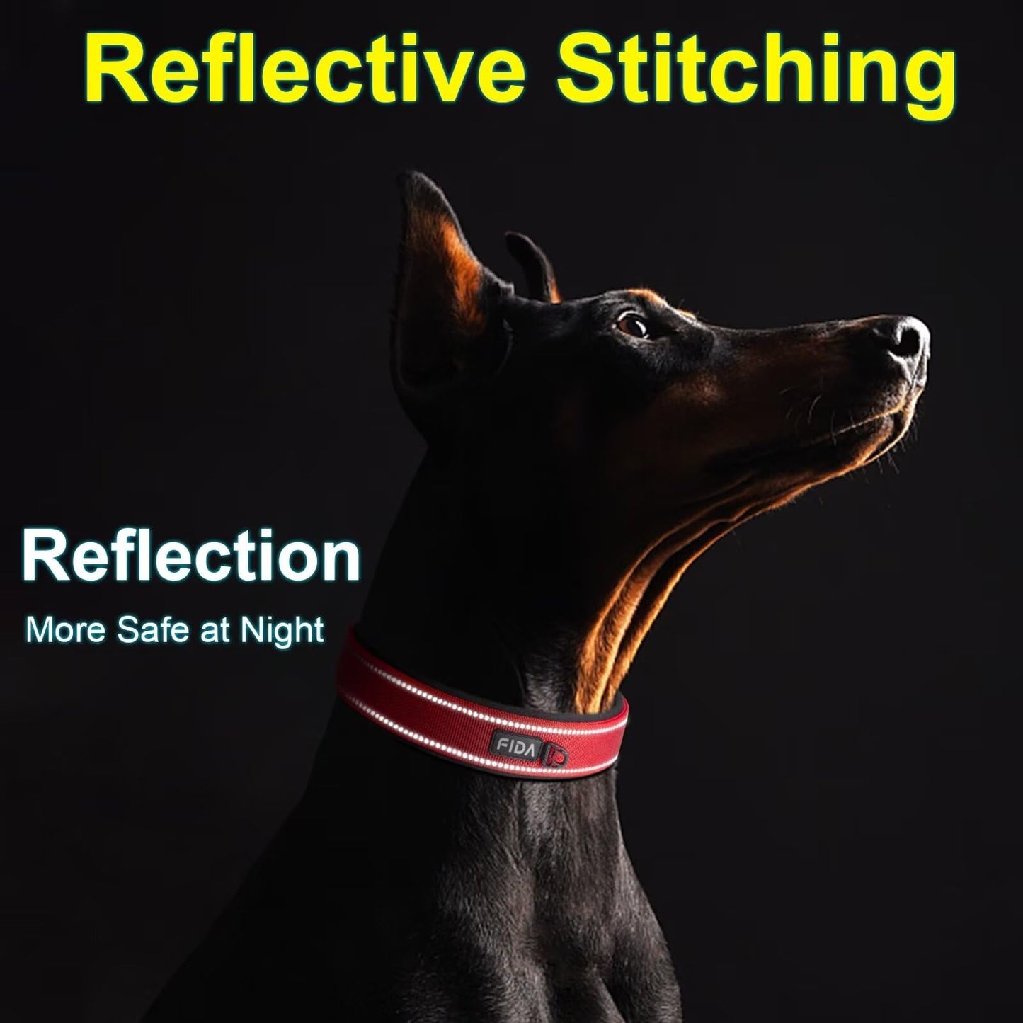 Fida Padded Dog Collar, Metal Belt Buckle Dog Collar with Double-Layer Webbing, Heavy Duty Collar for Medium Dogs, Red