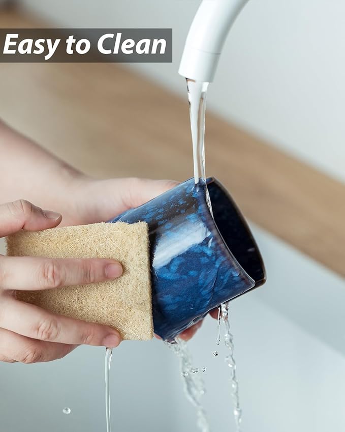 Kitchen Sponge Holder, Ceramic Sponge Organizer Scrubby Holder Sink Caddy Dish
