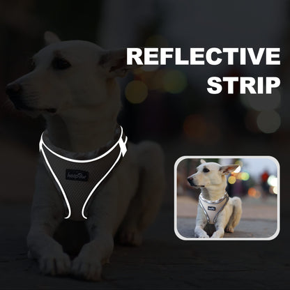 haapaw Dog Harness and Lead Set, No Pull Adjustable Reflective Step-in Puppy Harness with Thickened Padded Vest for Extra-Small/Small Medium Dogs