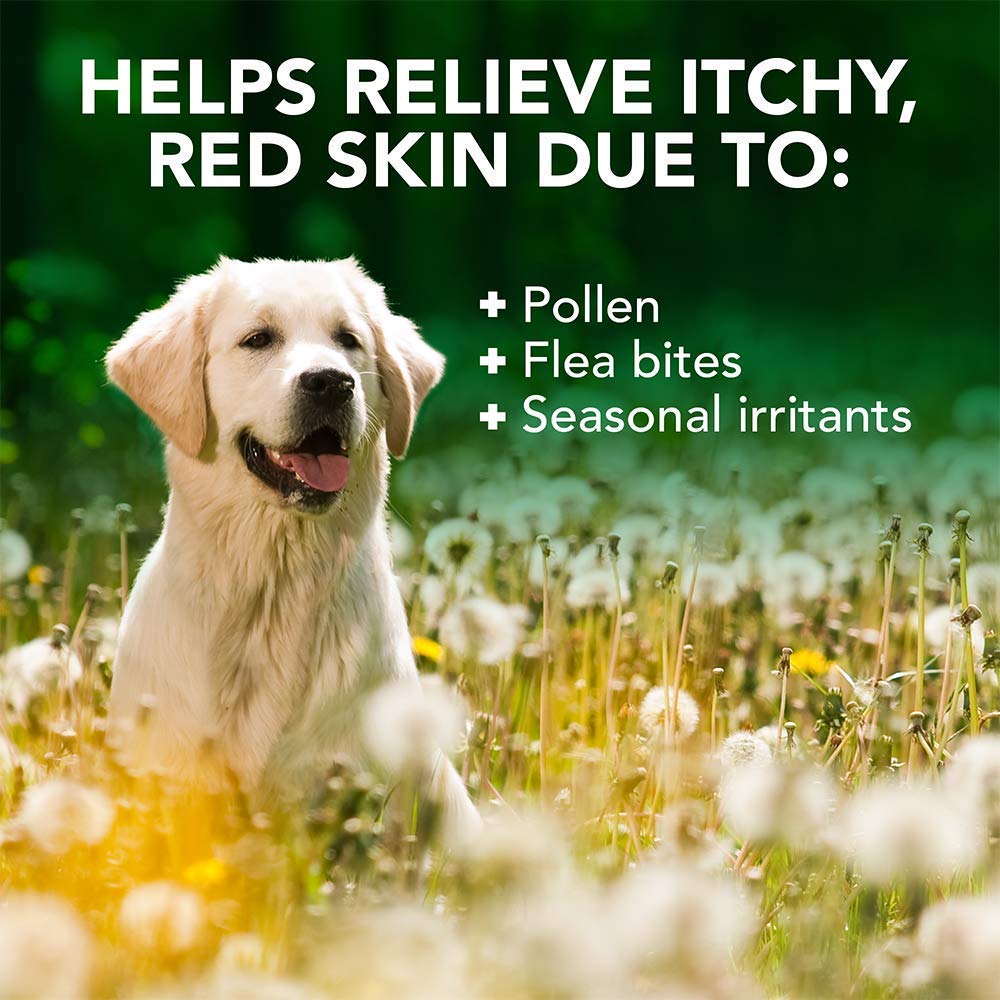 Vet's Best Allergy Itch Relief Dog Shampoo, Cleans and Relieves Discomfort from Seasonal Allergies, Gentle Formula 500ml