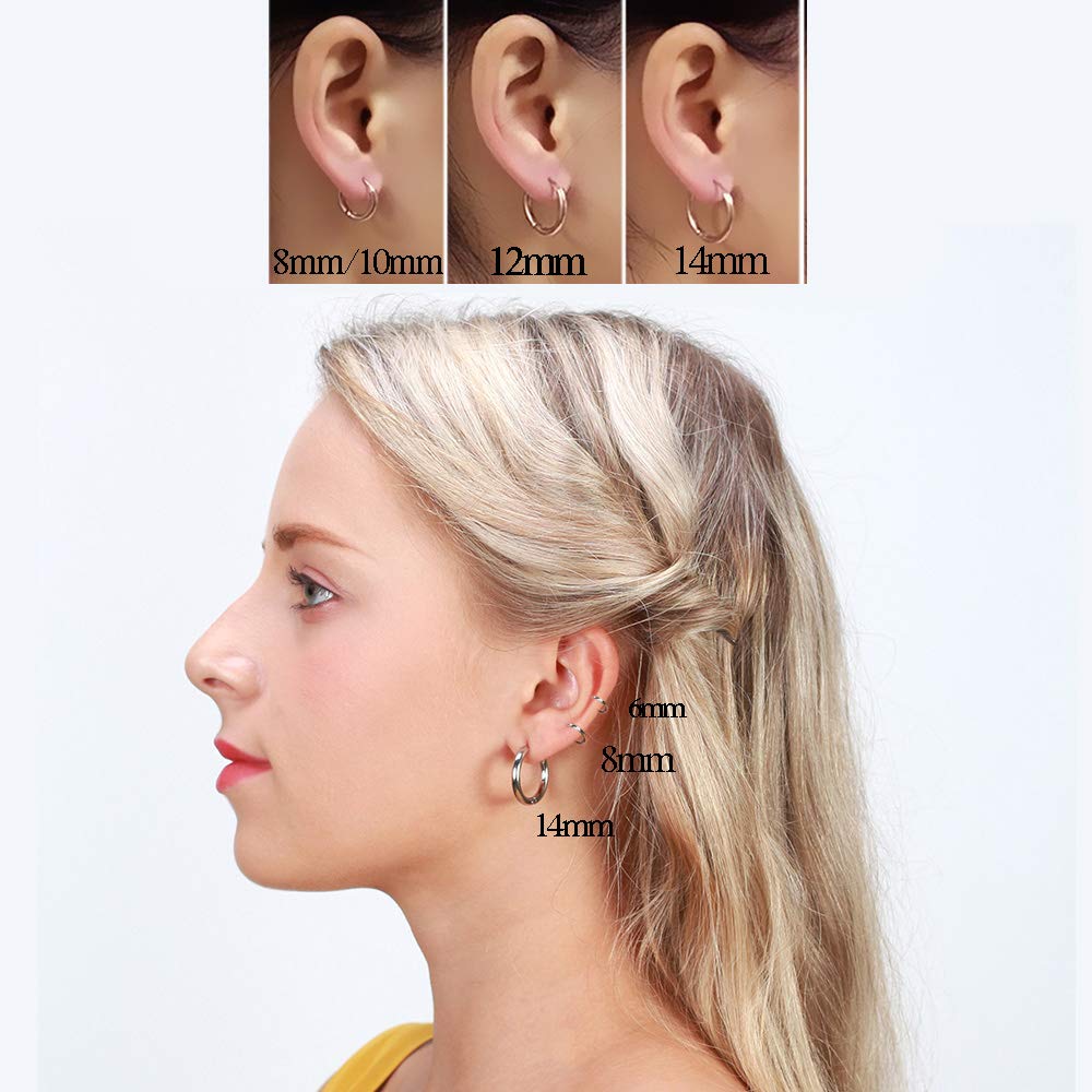 316L Surgical Stainless Steel Huggie Hoop Earrings 10mm Gold Hypoallergenic Earrings Hoop Cartilage Helix Lobes Hinged Sleeper Earrings For Men Women (C01:10mm Gold(THK 2.0mm))