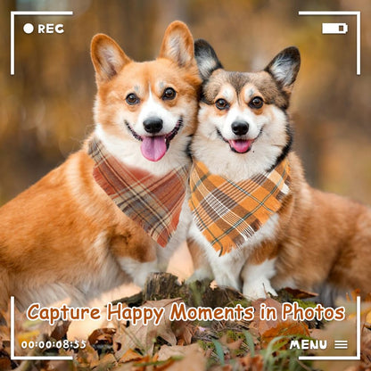 Vivifying Fall Dog Bandana, 2 Pack Halloween Thanksgiving Classic Plaid Dog Scarf with Tassels Edges, Funny Pet Apparel & Accessories Costume for Photo Prop, and Party Decor (Large, Yellow&Orange)