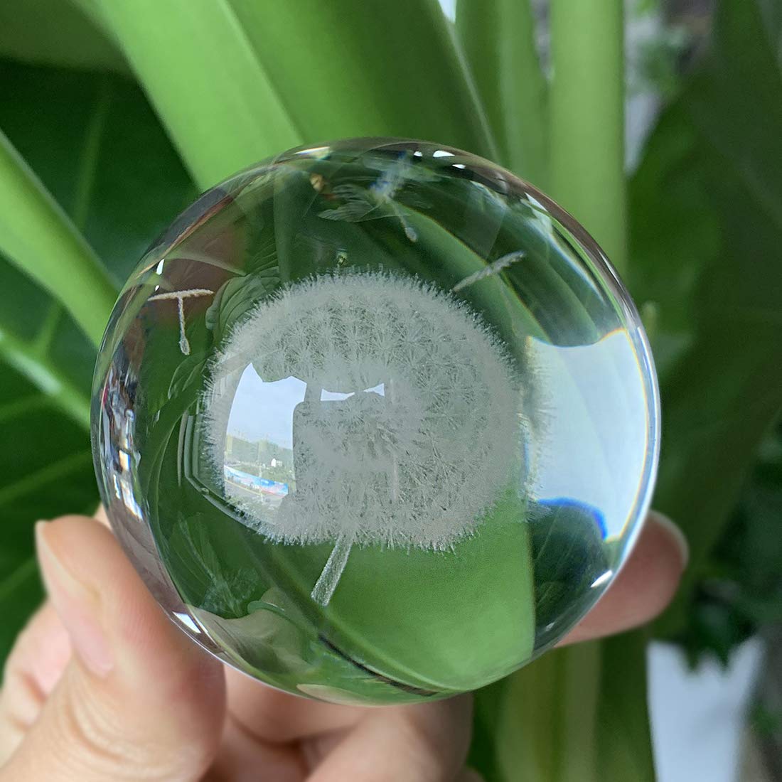 HDCRYSTALGIFTS 60mm Dandelion Crystal Ball Paperweight with Stand Gift for Women Mom 3D Laser Engraved Glass Plant Decorative Ball Full Sphere Home Office Desktop Decor