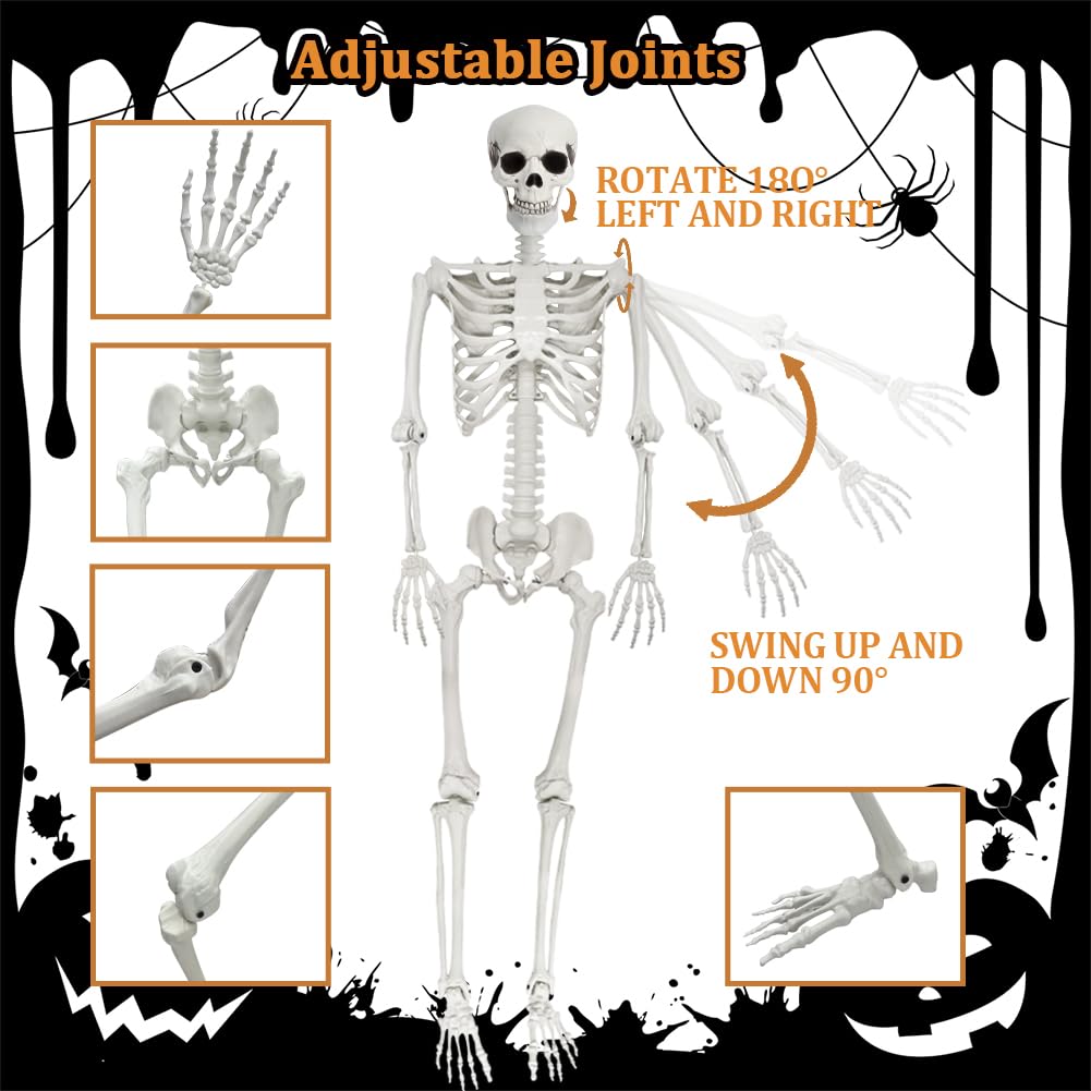 LUKBERA Posable Halloween Skeletons, 1Pcs 5.9ft Life Size Human Skeleton with Movable Joints for Halloween Haunted House Decoration