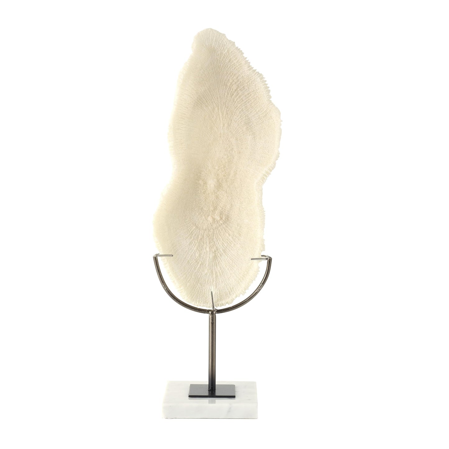Deco 79 Polystone Coral Decorative Sculpture Abstract Textured Home Decor Statue with Gray Stand and Acrylic Base, Accent Figurine 7" x 5" x 19", Cream