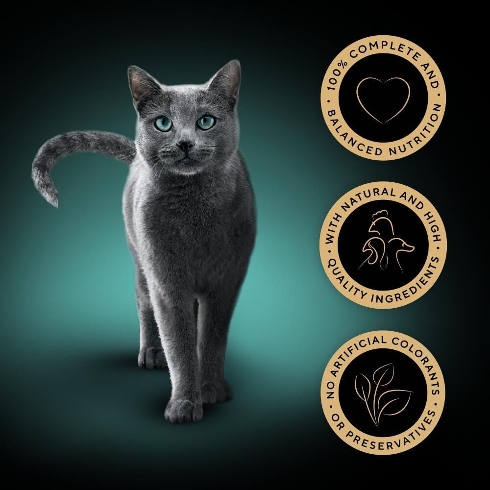 Sheba Cat Wet Food - Fresh and Fine - Cat Pouches Poultry in Gravy - 50 x 50 g Pack