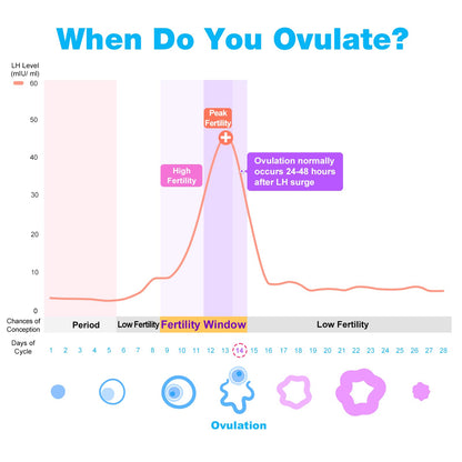 Easy@Home 50 Ovulation Test Strips and 20 Pregnancy Test Strips-Width of 5mm-Powered by Premom Ovulation Predictor iOS and Android App