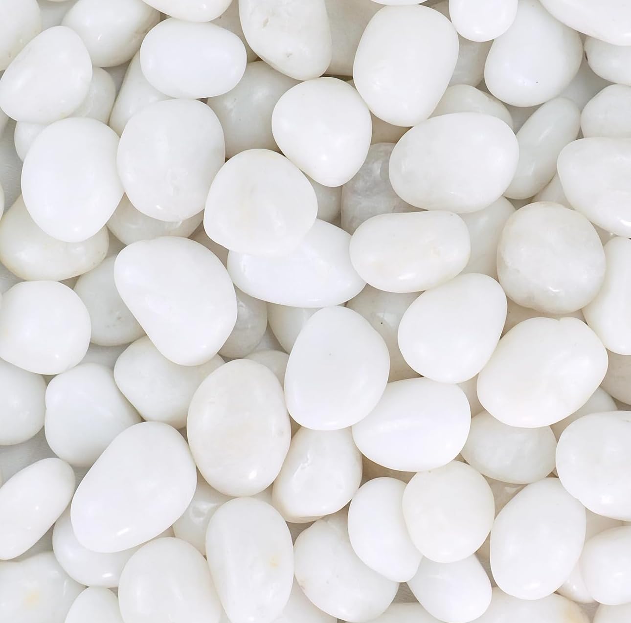 SIDONG 10 lbs White River Rocks, Polished Pebbles for Indoor Plants, 1-2 inch Decorative White Stones for Plants Vase Aquarium Fish Tank and Outdoor Garden Landscaping Rocks