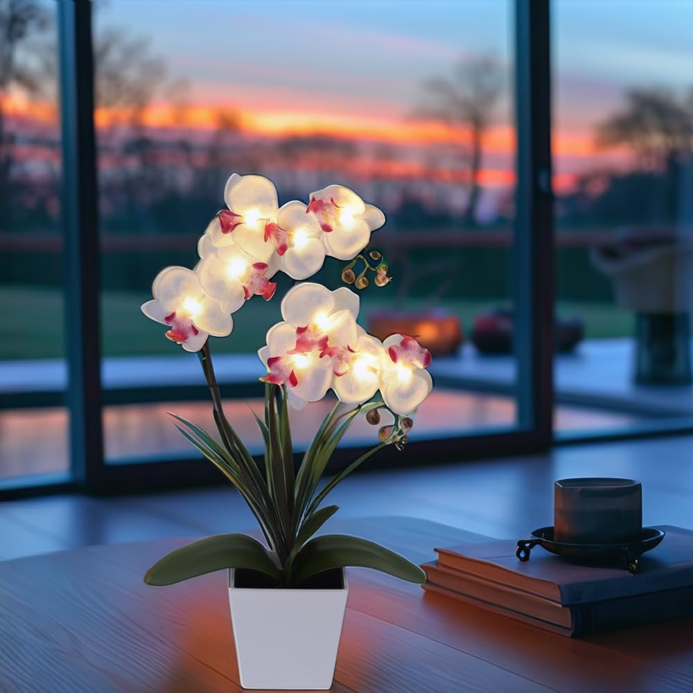 HOMESEASONS Orchid Lamp-LED Lighted Orchid Arrangements,Pre Lit Artificial Orchid,Light Up Flower Lights, Faux Orchid Phalaenopsis Arrangement (White)