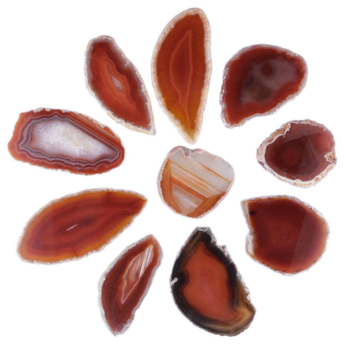TUMBEELLUWA Pack of 10 Undrilled Agate Slices for Jewelry Making, Orange