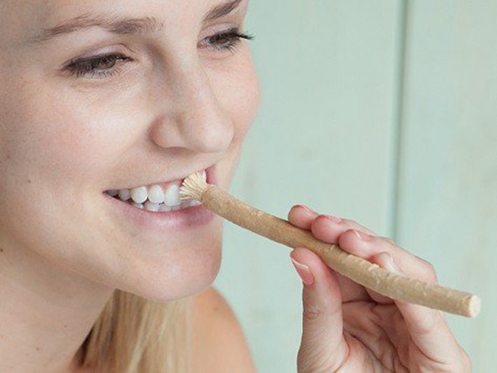 Miswak Club Natural Teeth Whitening Kit/Natural Toothbrush for Whiter Teeth, Fresher Breath, While Being Chemical Free