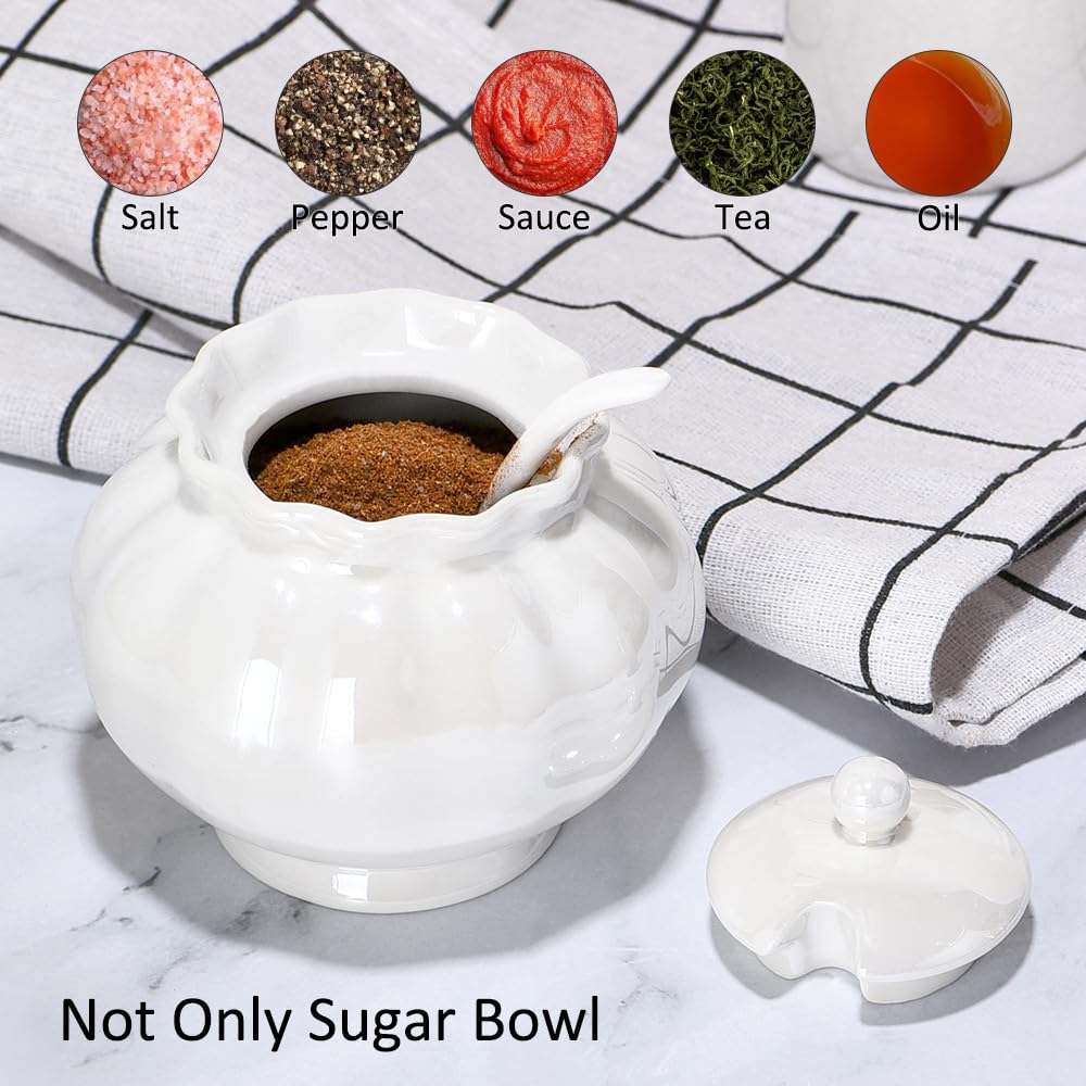 Ursword Iridescent Sugar Bowl with Lid and Spoon, Ceramic Sugar Bowl, 9oz Sugar Jar for Coffee Bar, Salt Box Sugar Containers for Seasoning, Spice, Sauce, Elegant Decor for Kitchen Countertop
