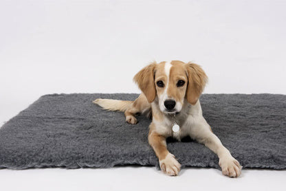 Vet Fleece Bedding | Vet Bed Original Greenback | Puppys and Dogs | Dog Bedding Ideal Whelping | 40” x 30” Charcoal| Durable | Quick Drying | Washable | Whelping Mat | Dog Bed