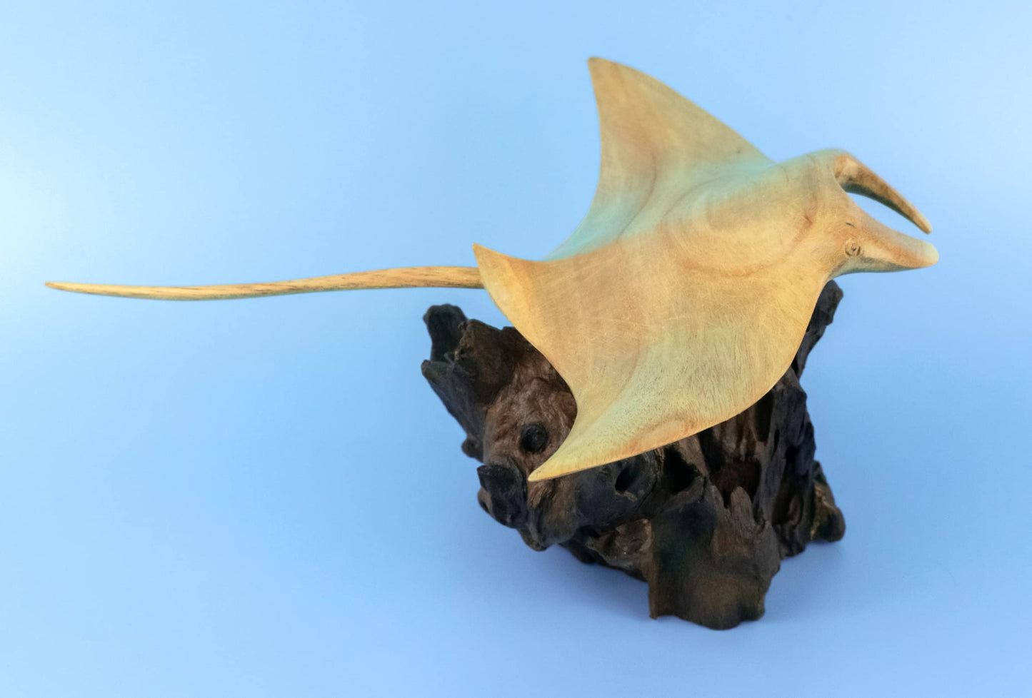 G6 Collection 10" Handmade Wooden Stingray on Coral Figurine, Hand-Carved Ocean Fish Decor, Coastal Marine Sculpture, Nautical Beach House, Exotic Sea Life Carving, Unique Coral Reef Art (10" Long)