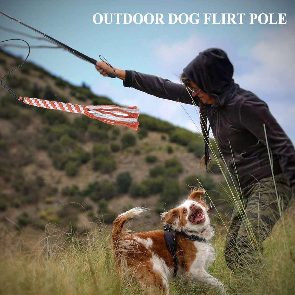 ASOCEA Flirt Pole for Dogs，Extendable Teaser Wand Pet Flirt Stick Outdoor Interactive Toy with 2 Chasing Tail Chewing Cotton Rope for Small Medium Large Dogs Training Pulling