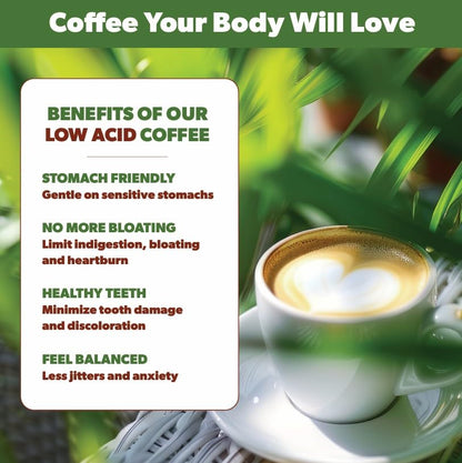 Low Acid Organic Coffee – Whole Bean, Mold-Free & Stomach Friendly by Java Planet, Colombian Single Origin Coffee, Medium Dark Roast, Smooth Full Flavored, 1LB Bag