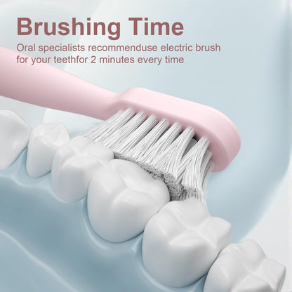 Electric Toothbrush Set with Drying & Sanitizing Holder, 8 Replacement Brush Heads, Transparent Rinse Cup, Smart Timer, USB Rechargeable for Adults