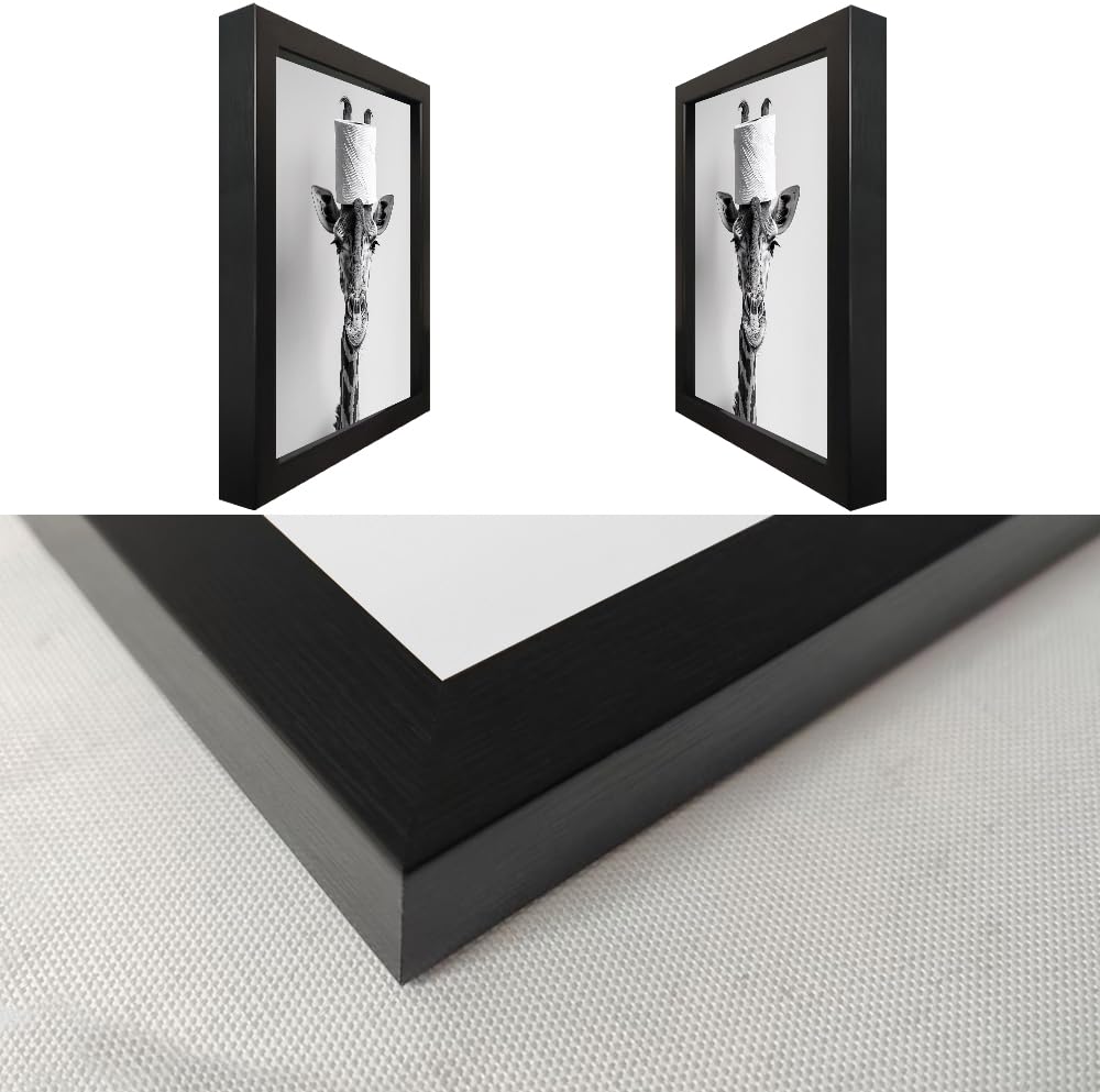 Bathroom Picture Wall Decor, Framed Black and White Bathroom Wall Art, Toilet Paper in Little Funny Raccoon's Hand Animal Canvas Print Painting