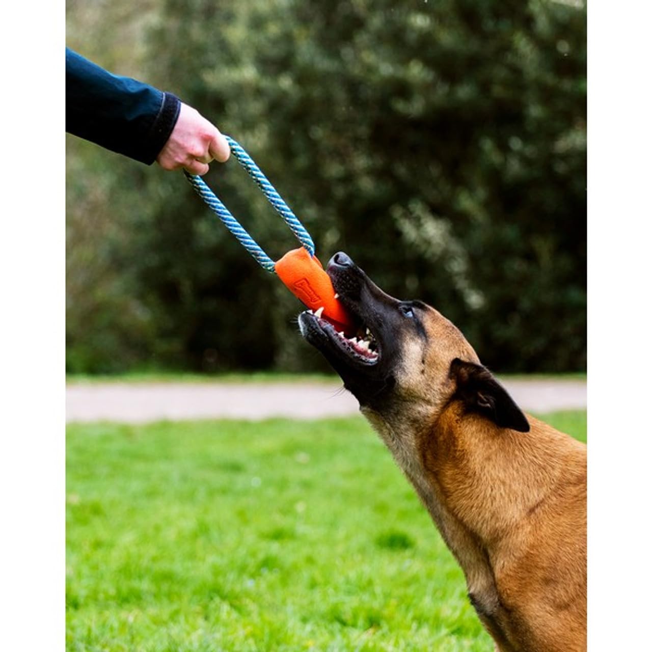 Chuckit! Ultra Bumper Tug Dog Toy Rope and Rubber Fetch Toy Tug of War for Dogs