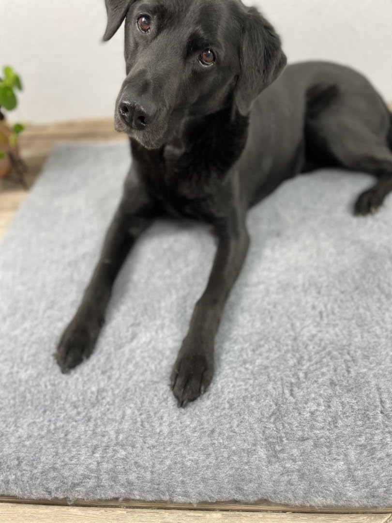 SOUL DESTINY Traditional Grey High-Grade Vet Bedding 30mm Cut in Squares & Rolls. THICK WHELPING FLEECE DOG PUPPY PRO BED Size: 75cm x 51cm