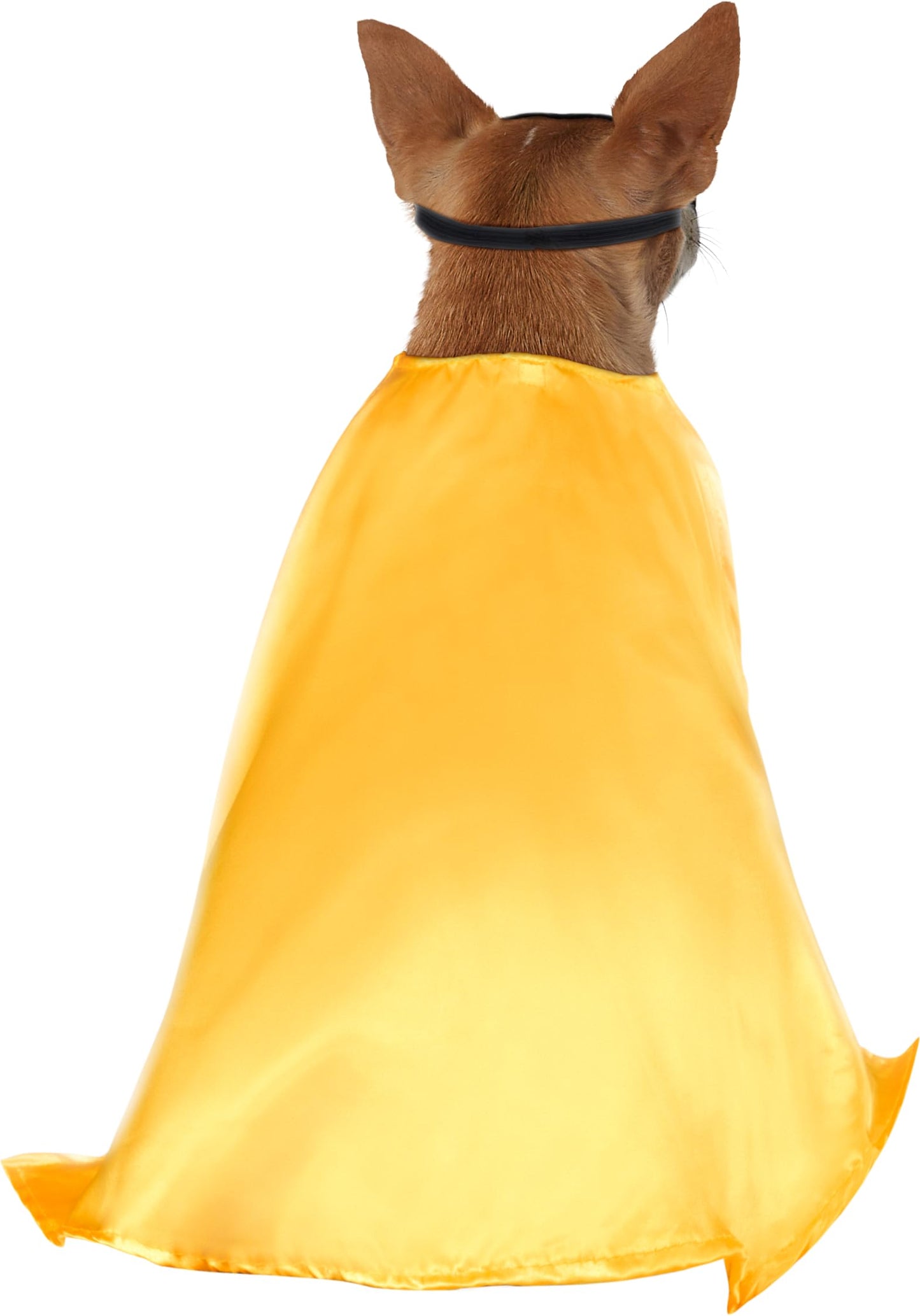 Rubies Teen Titans: Robin Pet Costume for Dogs or Cats, 3X