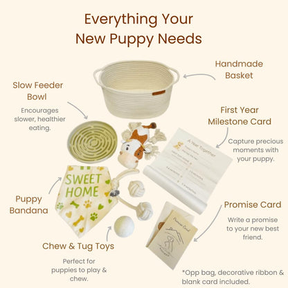 Nopikku Puppy Welcome Home Gift Box – New Puppy Gift Basket with Toys, Slow Feeder & Milestone Card, Perfect Puppy Starter Kit for New Dog Owners