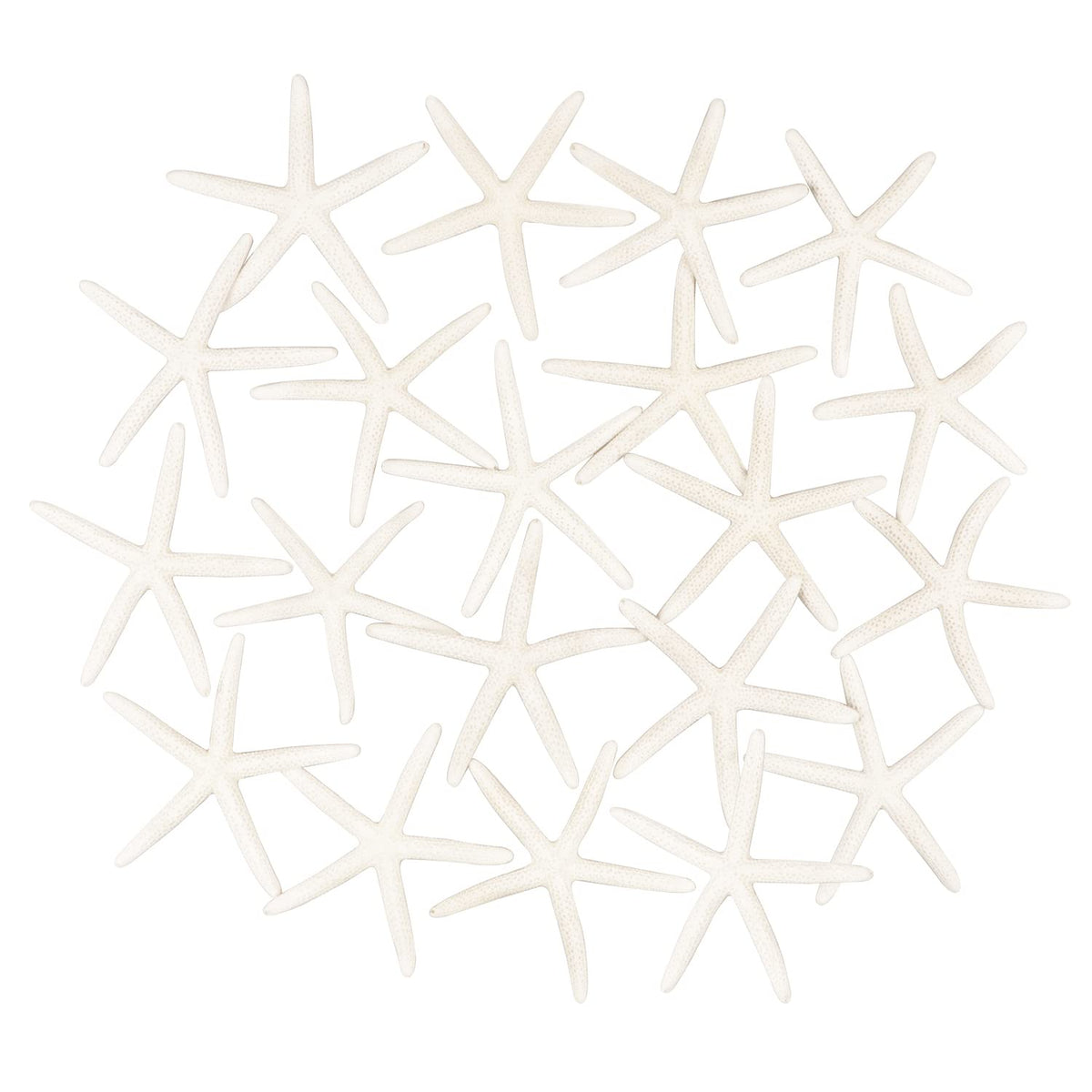 Jangostor 20 PCS Starfish, 2.5" to 4" Natural Seashells Starfish Star Fish Shells Decorations White Starfish Ornaments Perfect for Wedding Beach Theme Party Home Decorations, DIY Crafts, Fish Tank
