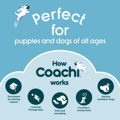 Coachi Tuggi Spider - Interactive Dog Toy for Tug of War & Play. Strong & Comfortable, Stretchy Bungee Handle, Reward Training, Interrupting Biting & Chewing. Ideal for Agility & Suitable for Puppies