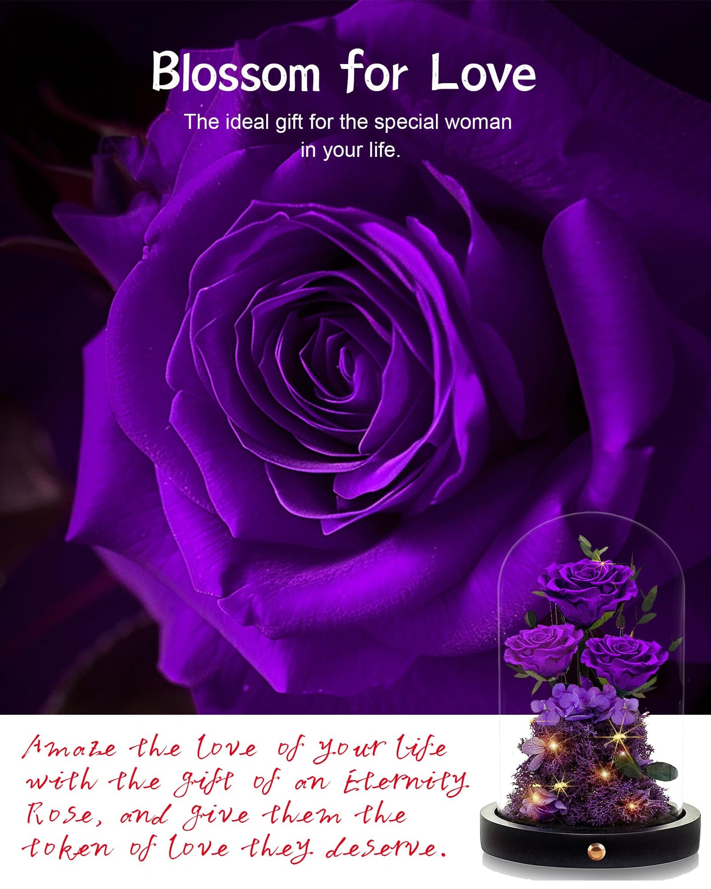 Valentines Day Flowers Roses Gifts for Her,Forever Real Preserved Roses in Glass Dome,Valentines Day Anniversary Birthday Gifts for Wife Girlfriend Women Mom Best Friend Her/Purple Rose